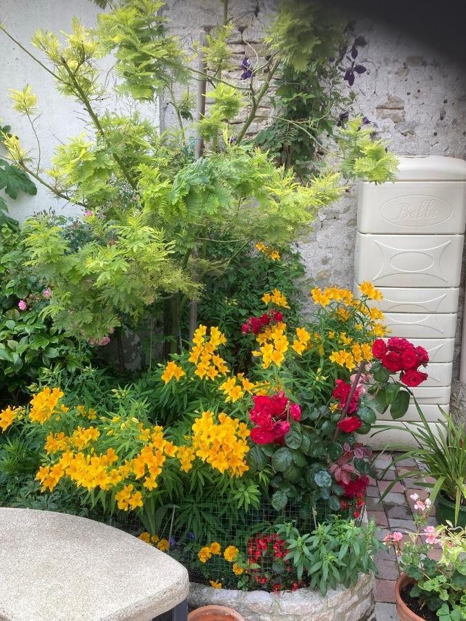 Hébergement de vacances Au Bon Gite - Studio